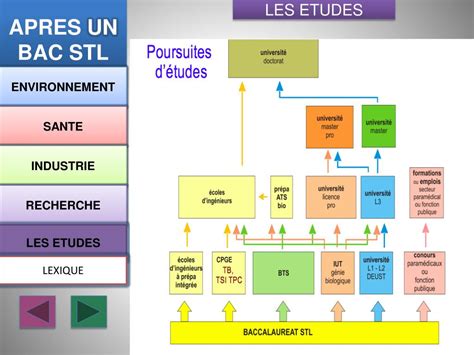 que faire après un bac stl|Que faire après un bac STL : les voies scolaires et .
